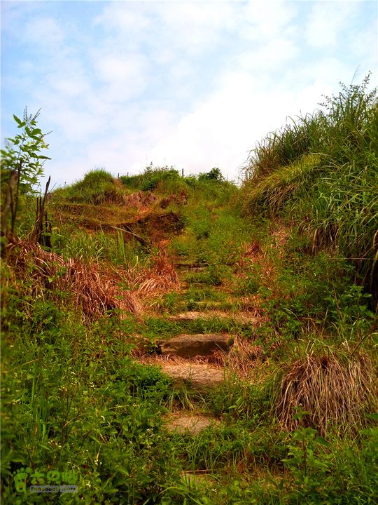 鹤嘴口岭古道IMG_1688