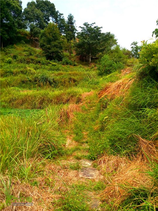 鹤嘴口岭古道IMG_1689