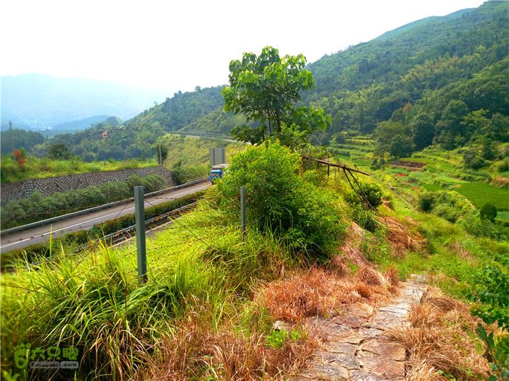 鹤嘴口岭古道IMG_1690