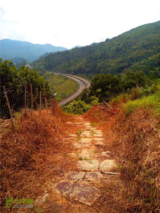 鹤嘴口岭古道IMG_1692