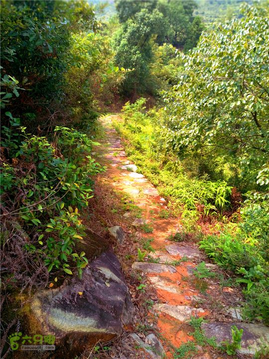 鹤嘴口岭古道IMG_1693