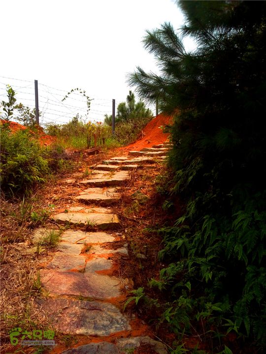 鹤嘴口岭古道IMG_1694