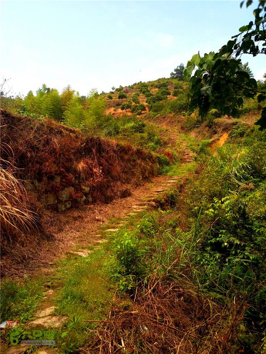 鹤嘴口岭古道IMG_1697