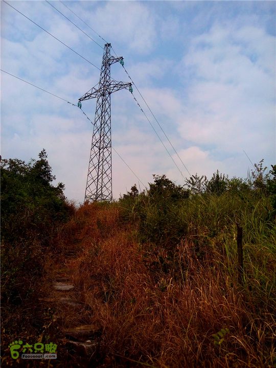 鹤嘴口岭古道IMG_1699