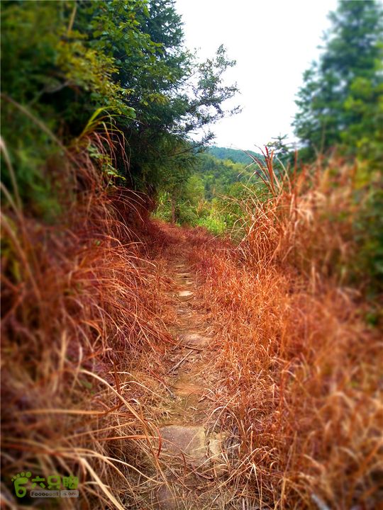 鹤嘴口岭古道IMG_1701