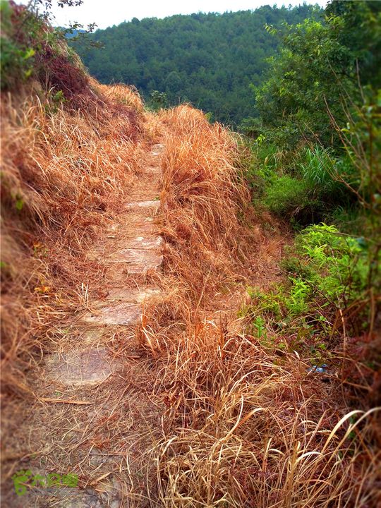 鹤嘴口岭古道IMG_1702