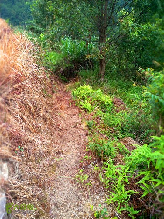 鹤嘴口岭古道IMG_1703