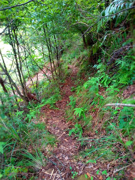 鹤嘴口岭古道IMG_1704