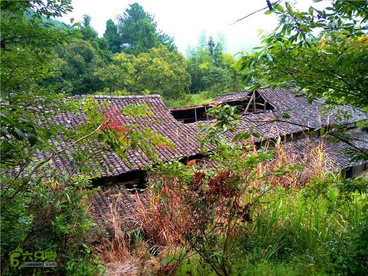 鹤嘴口岭古道IMG_1705