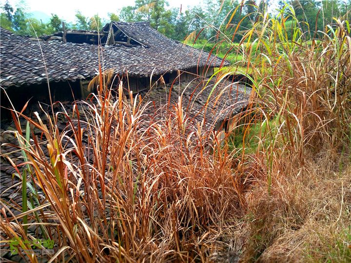 鹤嘴口岭古道IMG_1706