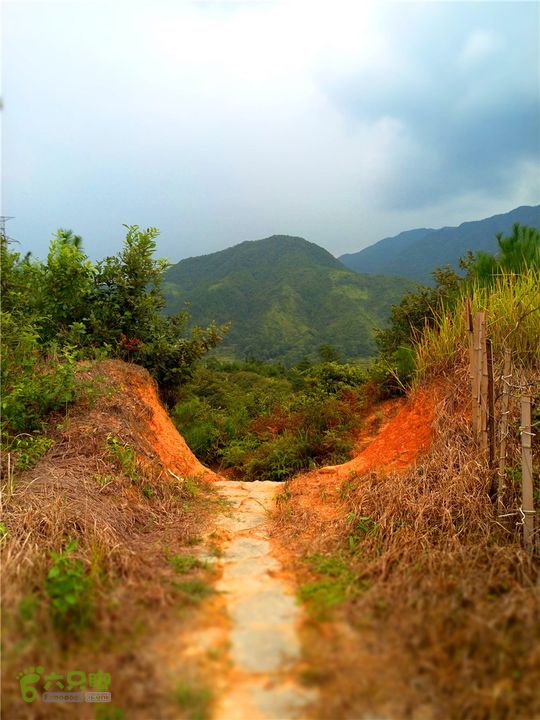 鹤嘴口岭古道IMG_1708