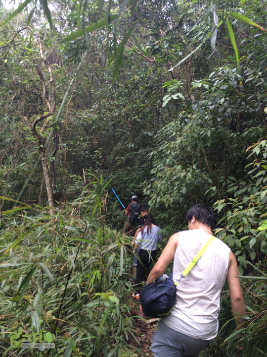 五都村口－王庙水库－水项古道－旗山景区穿越2015-09-04 11:09:11