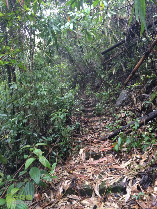 五都村口－王庙水库－水项古道－旗山景区穿越2015-09-04 10:50:21