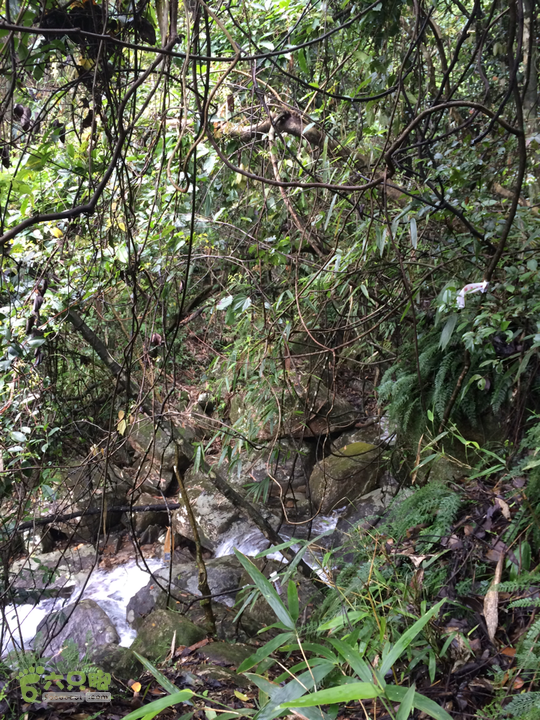 五都村口－王庙水库－水项古道－旗山景区穿越2015-09-04 11:40:39