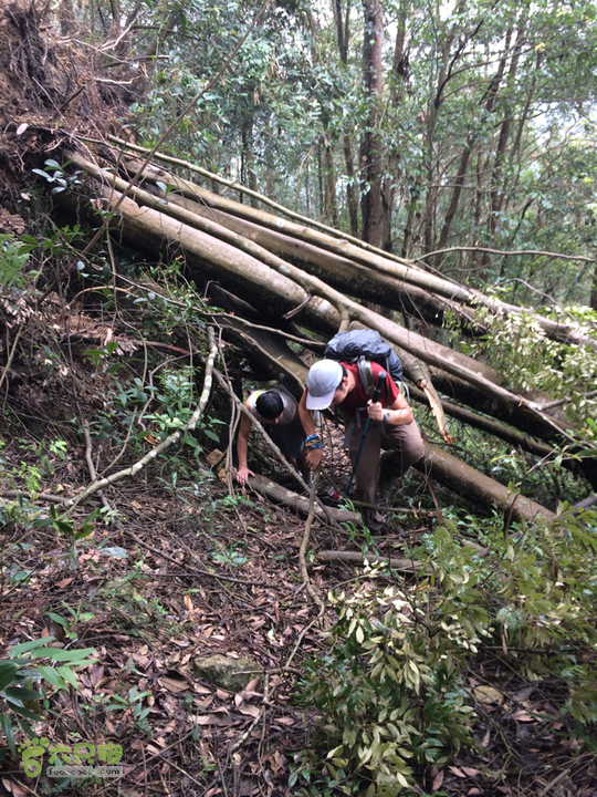 五都村口－王庙水库－水项古道－旗山景区穿越2015-09-04 14:35:18