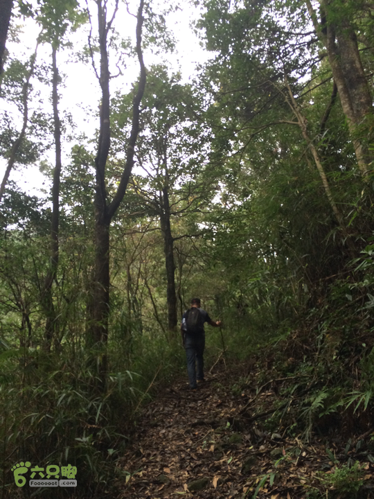 五都村口－王庙水库－水项古道－旗山景区穿越2015-09-04 15:00:32