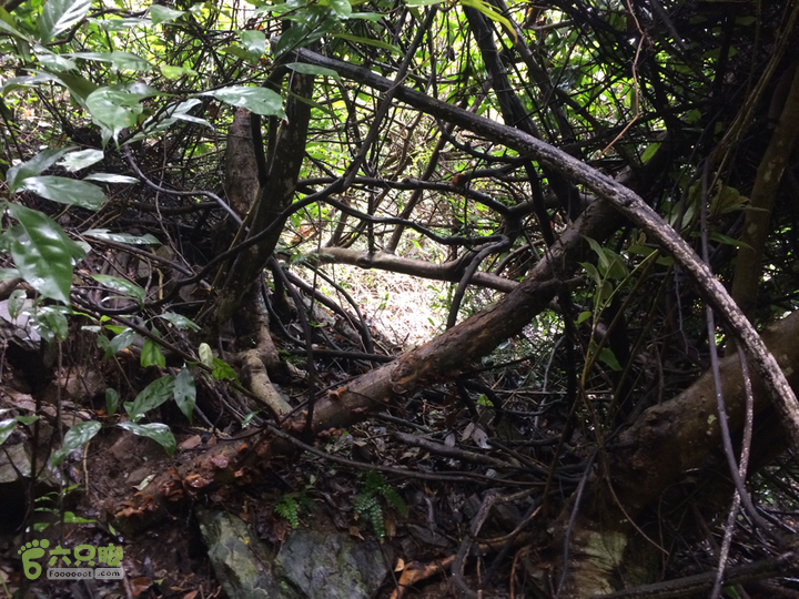 五都村口－王庙水库－水项古道－旗山景区穿越2015-09-04 12:28:54