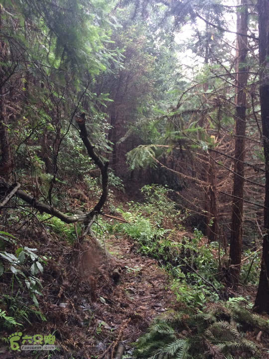 五都村口－王庙水库－水项古道－旗山景区穿越2015-09-04 14:03:11