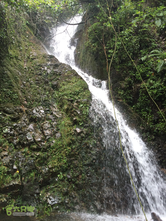 五都村口－王庙水库－水项古道－旗山景区穿越2015-09-04 12:38:48
