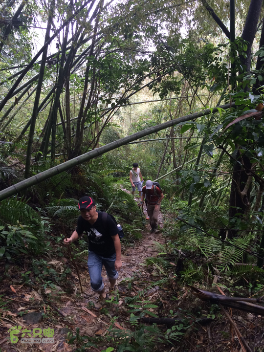 五都村口－王庙水库－水项古道－旗山景区穿越2015-09-04 10:38:35