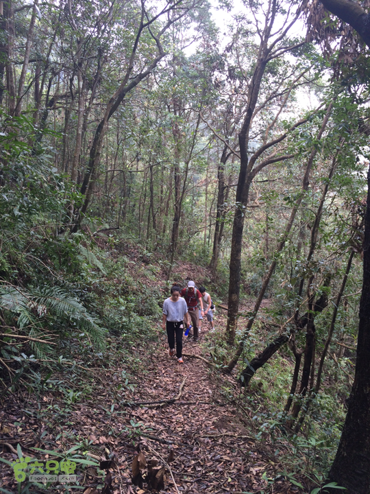 五都村口－王庙水库－水项古道－旗山景区穿越2015-09-04 14:30:04
