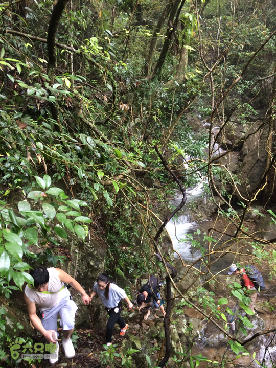 五都村口－王庙水库－水项古道－旗山景区穿越2015-09-04 11:21:39