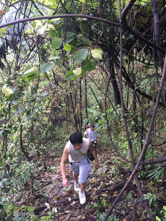 五都村口－王庙水库－水项古道－旗山景区穿越2015-09-04 11:25:42