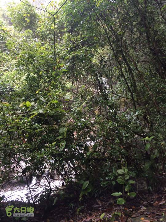 五都村口－王庙水库－水项古道－旗山景区穿越2015-09-04 11:13:08