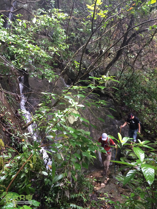五都村口－王庙水库－水项古道－旗山景区穿越2015-09-04 10:57:58