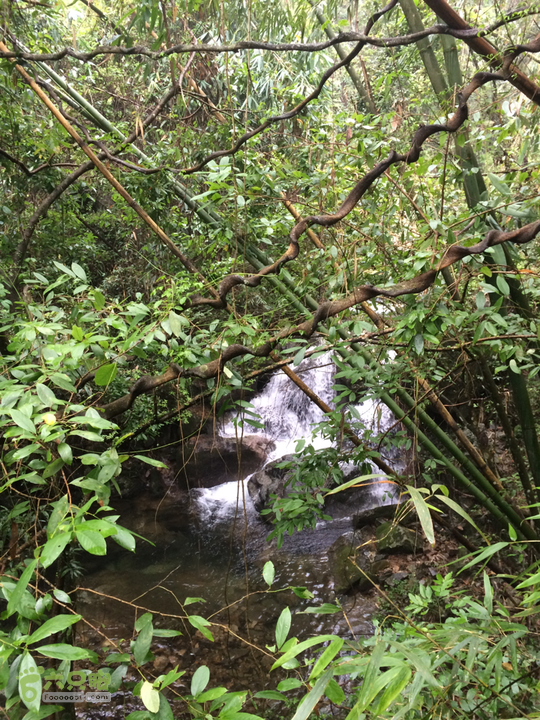 五都村口－王庙水库－水项古道－旗山景区穿越2015-09-04 11:39:52