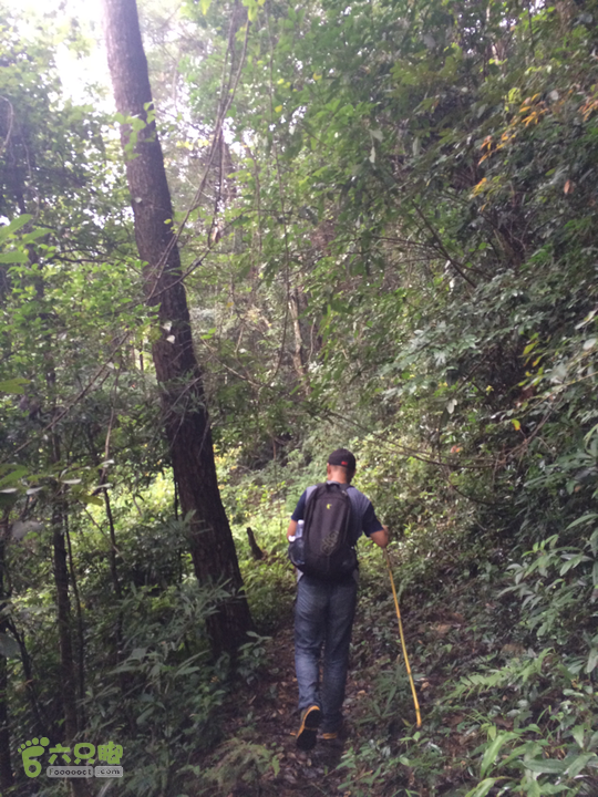 五都村口－王庙水库－水项古道－旗山景区穿越2015-09-04 14:52:07