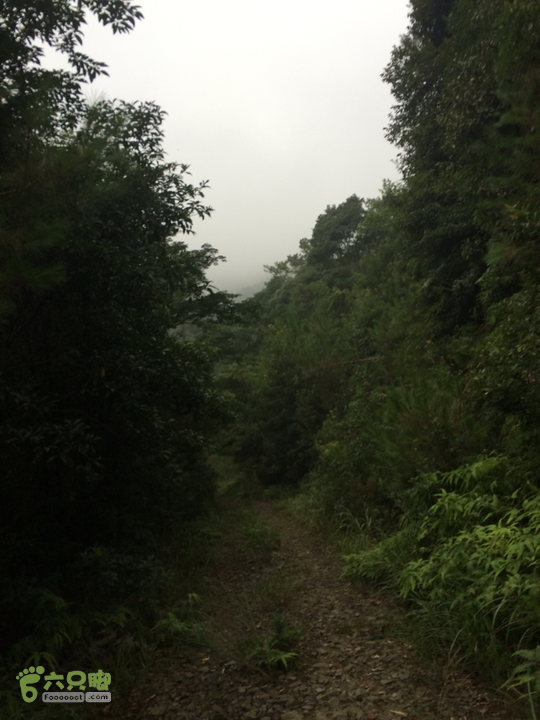 五都村口－王庙水库－水项古道－旗山景区穿越2015-09-04 15:12:45