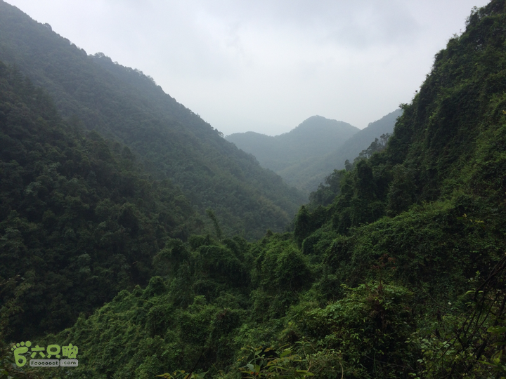 五都村口－王庙水库－水项古道－旗山景区穿越2015-09-04 12:10:10