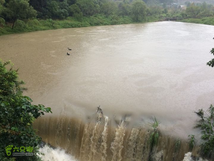 五都村口－王庙水库－水项古道－旗山景区穿越IMG_9996