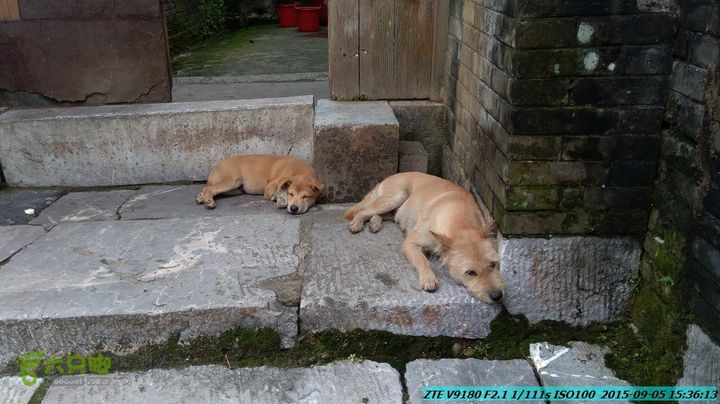 20150905-九屋-江头村IMG_20150905_153613