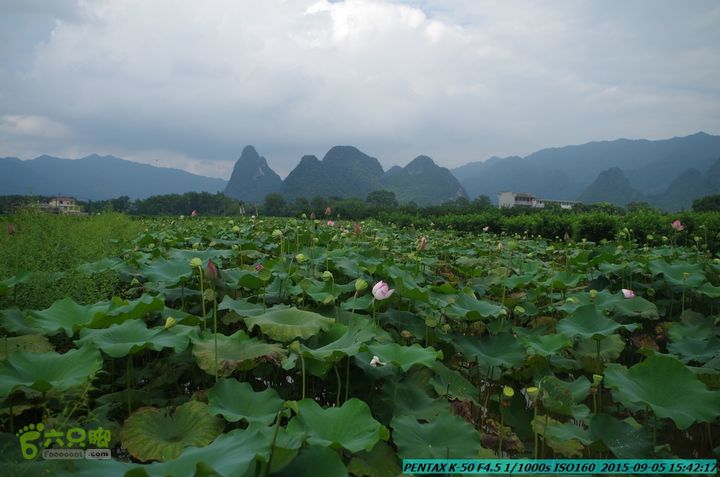 20150905-九屋-江头村IMGP9104