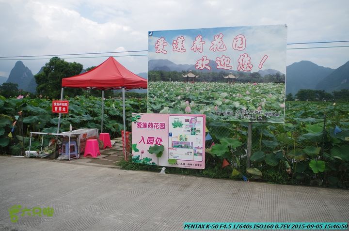 20150905-九屋-江头村IMGP9109