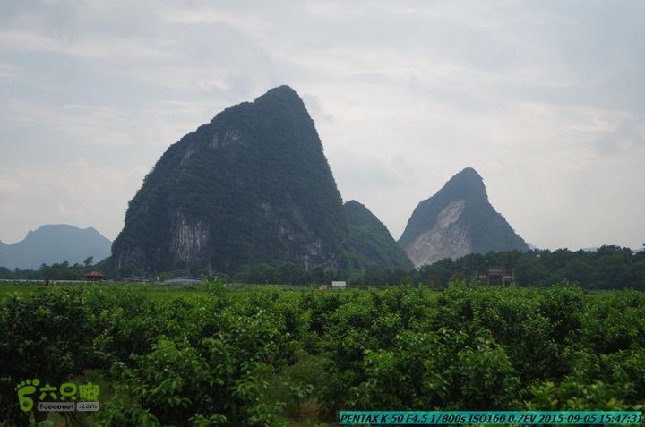 20150905-九屋-江头村IMGP9110