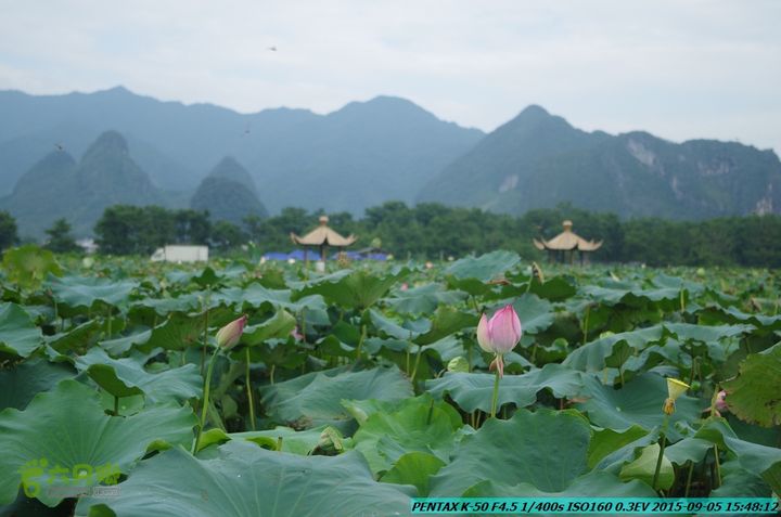 20150905-九屋-江头村IMGP9112