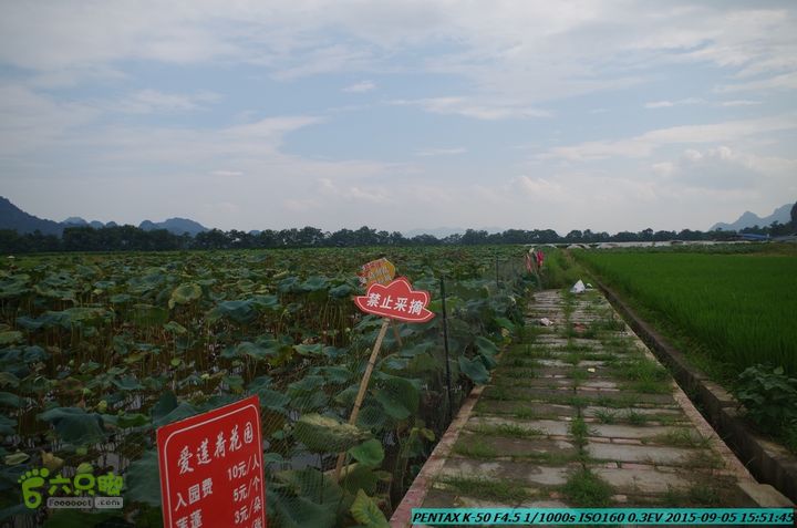 20150905-九屋-江头村IMGP9115