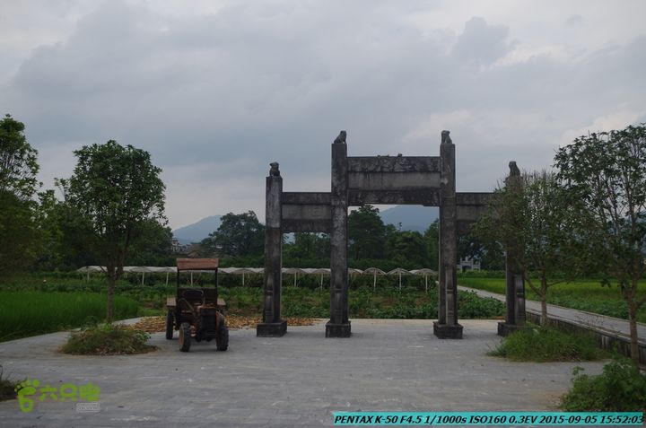 20150905-九屋-江头村IMGP9116