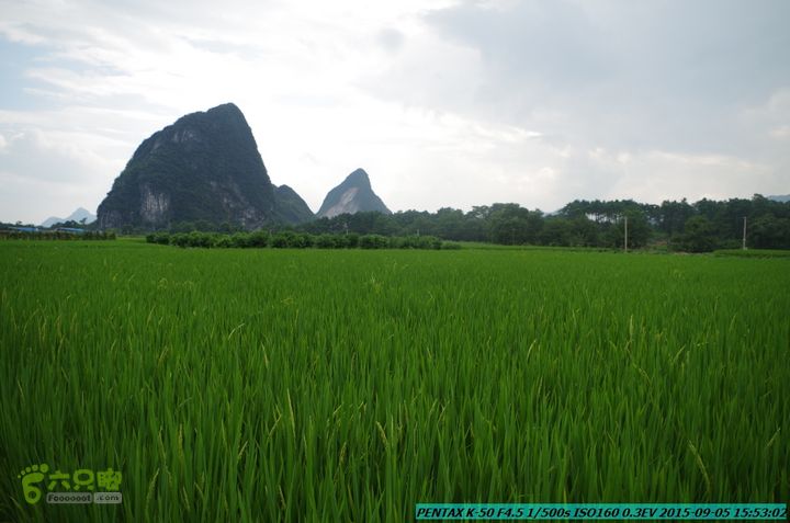 20150905-九屋-江头村IMGP9119