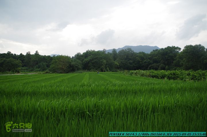 20150905-九屋-江头村IMGP9120