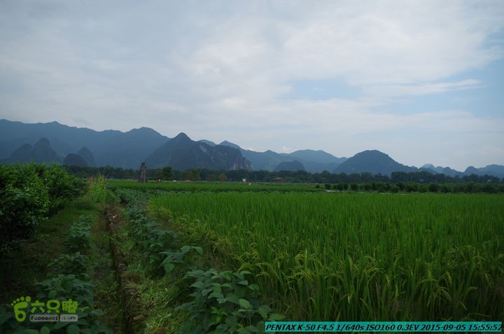 20150905-九屋-江头村IMGP9121