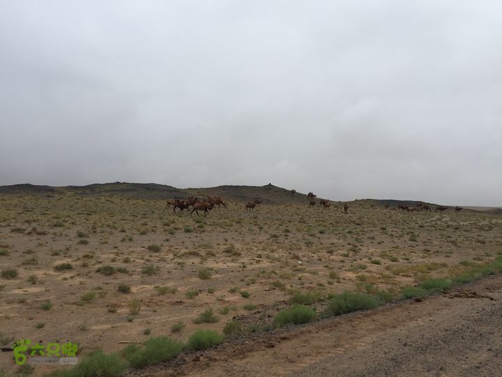 2015蒙疆藏自驾行-甘其毛都-额济纳150905（03）走边境路， 走不寻常路， 山路-起伏-戈壁穿越。 大漠荒原无人烟！