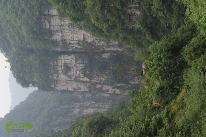 四川大瓦山穿越第一天：大渡河峡谷-白熊沟-瓦山顶DSC05797