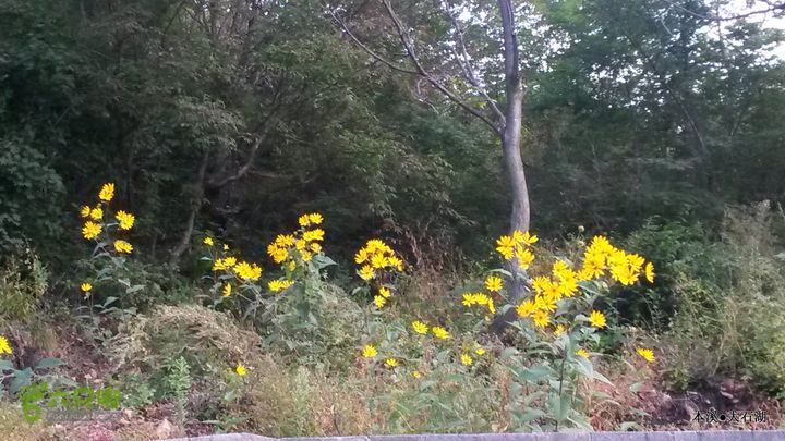 本溪_大石湖20150913_054904