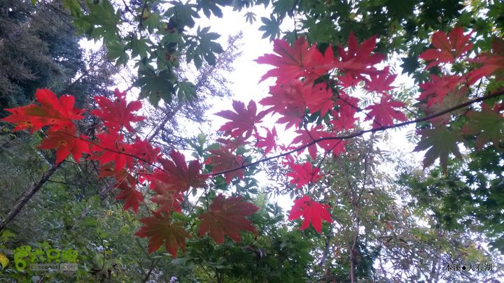 本溪_大石湖20150913_060602