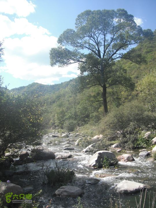 西羊坊-后河-龙聚DSCF7230