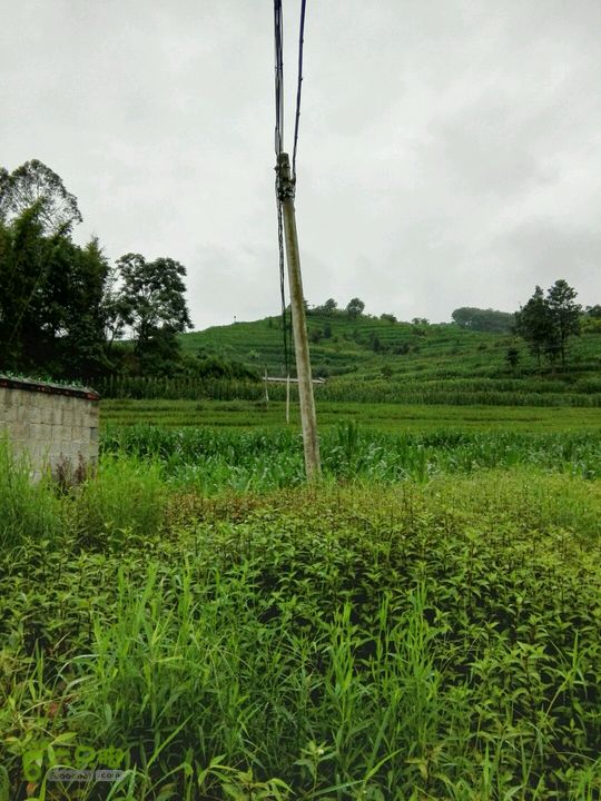 凤云线隐患杆路段